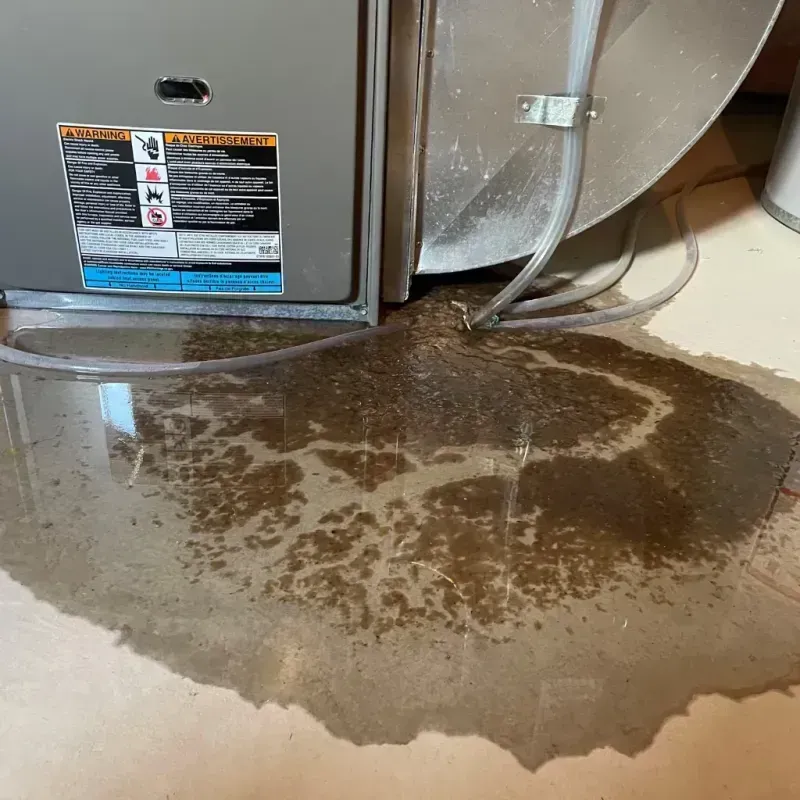 Appliance Leak Cleanup in Mount Pleasant, NC